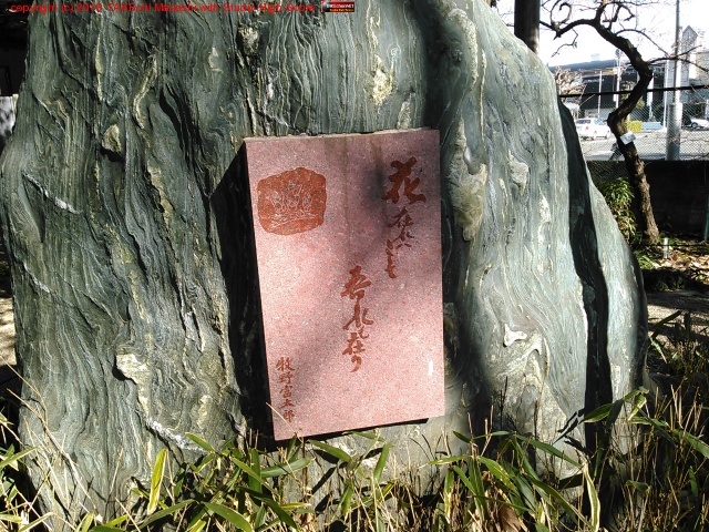 ���ǰ����