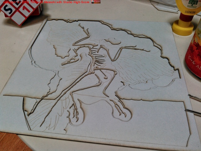 ����Ļ���Х�ץꥫ����äȺ��ޤ���!! �졼�����ξǤ��פ⤤�������Ǥ�!!