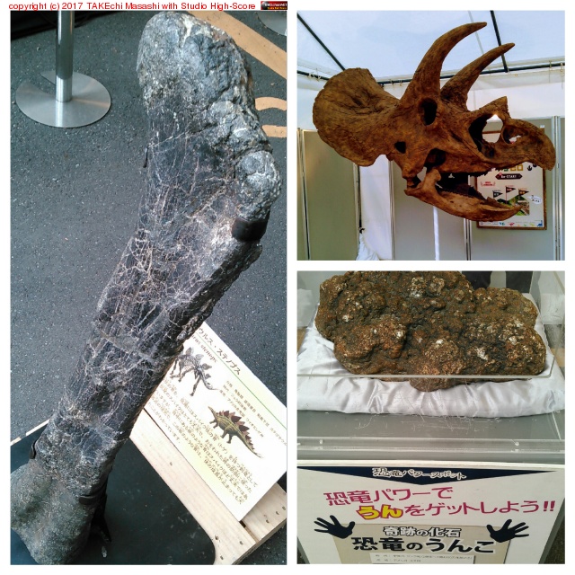 ���ں��ʡ��פ�? �ȥꥱ��ȥץ���Ƭ���������ƥ������륹�����ܹ���������β��Ф򿨤äƤ����� #��ε