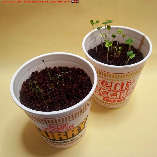 �ФƤ����ФƤ���!!