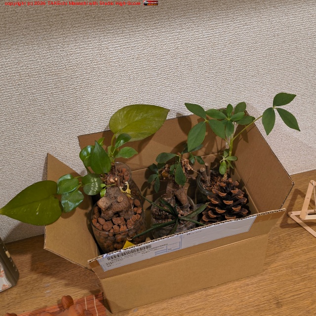 ����! ����! �ϥ��ɥ�����ã�ϤޤȤ�Ƥ����äȰ�ư��ͽ�ꡣ